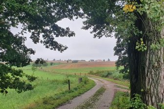 Entlang der Windungen des Erlbachs - Beim Aufstieg zum Seelitzer Ortsteil Winkeln müssen einige Höhenmeter bewältigt werden. 