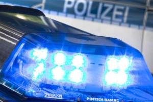Entlaufene Hunde greifen Schaf an - Im Crinitzberger Ortsteil Bärenwalde haben am Samstag ausgerissene zwei Hunde zwischen 18 und 19.30 Uhr ein Kamerunschaf verletzt. 