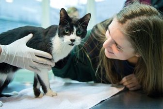 Entlaufener Kater taucht nach sieben Jahren wieder auf - Elena Hanke mit ihrer Katze Miko.
