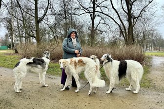 Entwarnung für Hundehalter in Zwickau: Rätsel um mutmaßliche Giftköder ist gelöst - Kathrin Franz gehört zu den Hundehaltern, die mit ihren Russischen Windhunden regelmäßig Runden auf der Rosenwiese dreht.