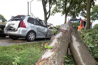 Entwurzelte Bäume, verschreckte Pferde, kaputte Dächer: Hagelsturm versetzt Plauens Feuerwehren und Polizei in Stress - B 173, Hofer Landstraße: Eine Linde stürzte auf diesen Pkw, während ein heftiges Gewitter über Plauen zog.
