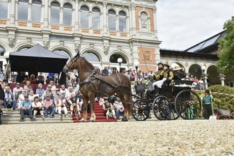 Equipage in Bad Elster bietet am Pfingstsonntag königliches Bild -