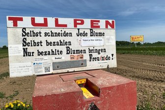 Erdbeer- und Blumen-Funck verärgert: „Die Vogtländer haben ein Problem mit der Ehrlichkeit“ - Pflücken und sich verdrücken: Das ist die Devise mancher unehrlicher Blumenpflücker. Die Kasse des Vertrauens ist oft nur eine Empfehlung.