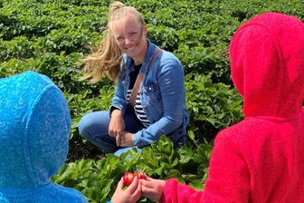 Erdbeerfeld an der B 173 bei Oberschöna: Ein Pflück-Test - Catherine Neubert und ihre beiden Töchter beim Erdbeerenpflücken auf dem Feld zwischen Freiberg und Oberschöna.