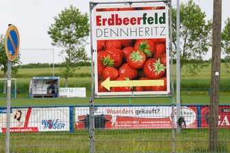 Erdbeerfeld in Dennheritz: Betreiber nennt Termin für Saisonstart - Das Erdbeerfeld befindet sich hinter dem Sportplatz in Dennheritz.