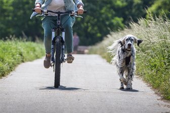 Erfolgreiche Ausschreibung erst beim zweiten Versuch: Bieter erhält Zuschlag für Wanderparkplatz am Kohlebahnradweg - Der nicht nur bei Radlern beliebte Kohlebahnradweg führt von Lugau bis Wüstenbrand.