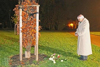 Erinnerung an NSU-Opfer: Claudia Roth legt Blumen an Zwickauer Gedenkbäumen nieder - Claudia Roth steht in Zwickau vor dem Gedenkbaum für Enver Şimşek. Er war das erste Mordopfer des rechtsradikalen Terrortrios NSU. 