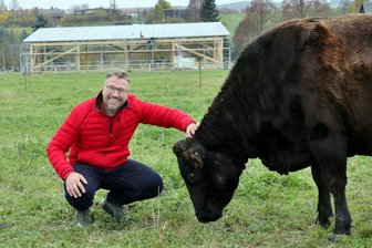 Erlau: Edelrinder bekommen neuen Unterstand - Matthias Müller investiert in einen geräumigen Unterstand für zirka 30 Edelrinder.