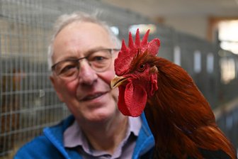 Erlau: Mehr als 50 Züchter zeigen 400 Tiere - In Erlau sind am Wochenende mehr als Tiere zu bewundern.
