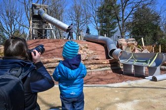 Erlebnis Tierpark Chemnitz: Rutschen durch den Mammut-Rüssel - Etwas Geduld benötigen die kleinen Besucher, bis sie durch den Rüssel der Mammut-Rutsche im Tierpark gen Boden düsen können. 