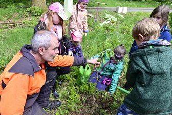 Erlebnisreicher Waldtag: Schüler aus dem Vogtland pflanzen Vogelkirschbäume - Mario Hüttner half beim Pflanzen von Vogelkirschbäumen.
