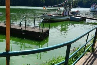 Erneut Blaualgen in der Talsperre Kriebstein - Auch im vergangenen Jahr war das Wasser in der Talsperre Kriebstein von Blaualgen verfärbt.