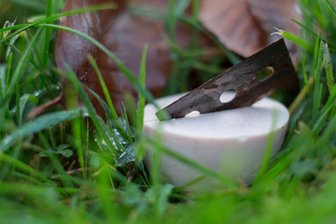 Erneut Hundeköder in Schönheide gefunden -