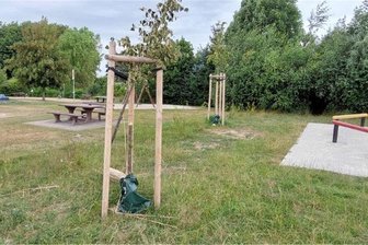 Erneut junge Bäume in Glauchau abgeknickt - Auf dem Spielplatz Voigtlaide wurden zwei junge Bäume abgeknickt.