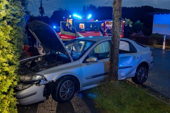 Erneut Unfall in Neustadt: 23-Jähriger kracht gegen einen Baum - Dienstagabend verlor ein 24-Jähriger auf regennasser Fahrbahn die Kontrolle und krachte gegen einen Baum.