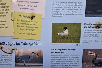 Erneut Vandalismus im Teichgebiet Limbach-Oberfrohna: Neue Infotafeln beschmiert und angekokelt - Im Juni wurden die Infotafeln aufgestellt. Nun wurden sie angekokelt und beschmiert – nicht zum ersten Mal.