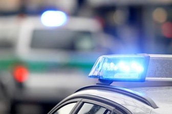 Erneut Verstöße bei Tiertransporten aufgedeckt -
