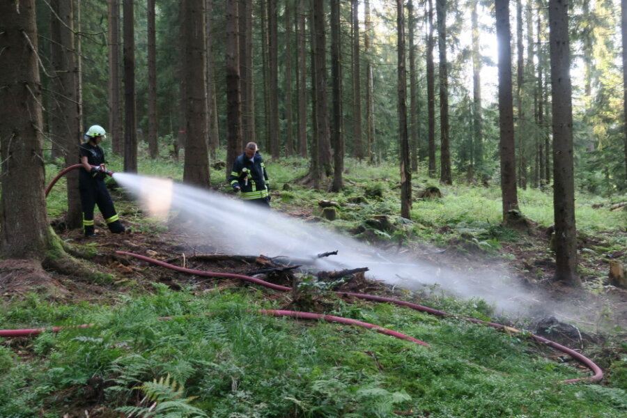 Erneute Brandstiftung in Eibenstocker Wald - schon sieben Brände in Serie - 