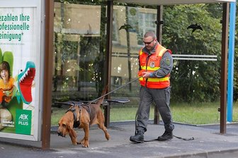 Erneute Suche nach Johanna Tuchscherer verläuft ergebnislos - 