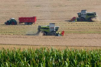 Ernte-Ergebnis in der Region von zu wenig Sonne beeinflusst -
