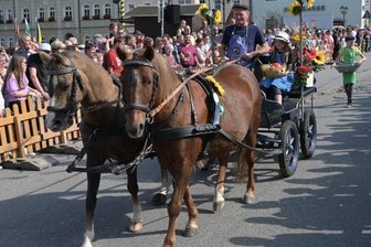 Erntedank mit Königin und Kutsche - Zum Festumzug der Pferdesportvereine gab es in Zwönitz insgesamt 28 verschiedene Schaubilder zu bestaunen.