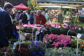 Erntedank und Herbstmarkt stehen in Reuth bevor - Bunt zeigt sich der Herbstmarkt in Reuth jedes Jahr.