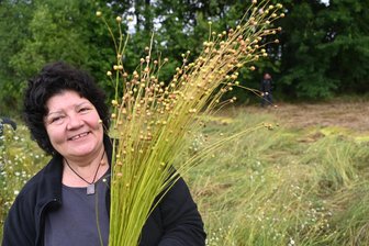 Erntezeit im Dorfmuseum Gahlenz: Flachsfest für alle Generationen - Beate Mühl mit einem Bündel des gerauften Faserleins vor weiteren Verarbeitungsgängen.