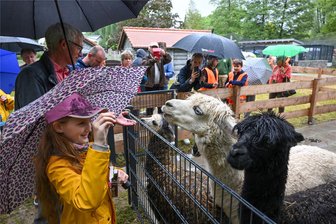 Eröffnung des Inkalands im Limbacher Tierpark: Wie soll die Nähe zwischen Mensch und Tier gelingen? - Der Regen konnte Mensch und Tier nicht abschrecken. Zahlreiche Familien erschienen zur Eröffnung des Inkalandes am Donnerstag im Amerika-Tierpark in Limbach-Oberfrohna.