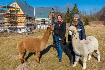 Erste Alpakas fühlen sich auf Begegnungshof schon heimisch - Anja Waldinger (l.) und Manuela Kehn mit zwei Alpaka-Hengsten vor dem im Umbau befindlichen Gebäude im Olbernhauer Ortsteil Hirschberg.