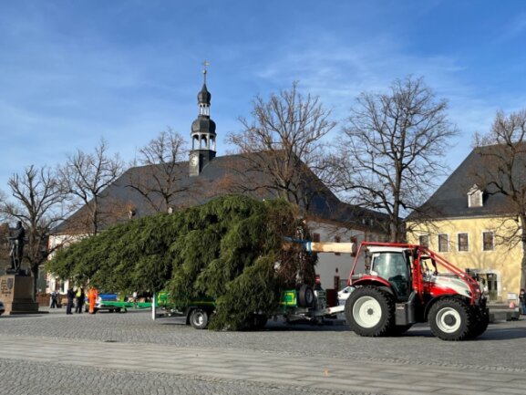 Erste Stadt im Erzgebirge bekommt ihren Weihnachtsbaum - 