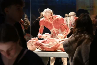 Erster Einblick in die Körperwelten-Ausstellung in Chemnitz - Gäste der Freie-Presse-Mediengruppe haben am Donnerstagabend einen ersten Einblick in die Ausstellung „Körperwelten und der Zyklus des Lebens“ erhalten.