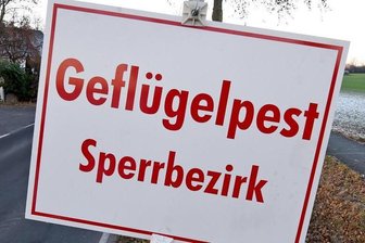 Erster Fall von Vogelgrippe im Landkreis Mittelsachsen - 