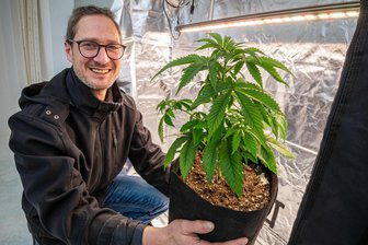 Erster Kiffer-Club im Erzgebirge: Automatisierter Cannabis-Anbau soll 200 Mitglieder versorgen - In Anbauzelten mit spezieller Beleuchtung, Belüftung und Klimatisierung werden die Cannabispflanzen von Christian Ehnert zur Blüte gebracht.