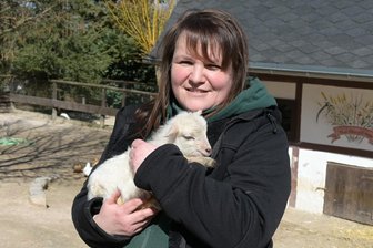Erstes Osterlämmchen im Zoo der Minis geboren - Zootierpflegerin Silke Bauer mit ersten Osterlämmchen.