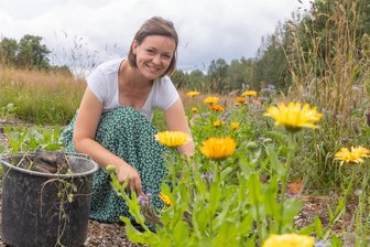 Erstes Slowflower-Feld im Erzgebirge - das steckt hinter der Bewegung - Claudia Haase öffnet am Freitagnachmittag zum ersten Mal ihre Blumenfarm Erzgebirge. Die junge Frau, die Musikwissenschaft studierte und im Gästeservice der Silbertherme Warmbad arbeitet, hat sich der Slowflower-Bewegung angeschlossen. Ihre Blumen zum Selbstpflücken gedeihen ohne den Einsatz von Pestiziden.