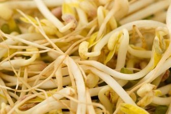 Erstmals aggressiver EHEC-Typ auf Sprossen nachgewiesen - 