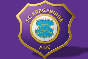 Erzgebirge Aue unterliegt VfB Stuttgart mit 0:1 - 