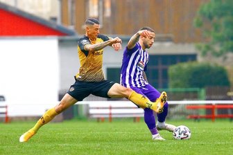 Erzgebirge Aue verliert Generalprobe gegen Dynamo Dresden - Panagiotis Vlachodimos (links) im Zweikampf mit Aues Calogero Rizzuto.
