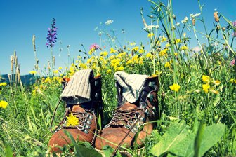 Erzgebirge: Deutschlands höchst gelegene Stadt wird zum Eldorado für Wanderfreunde - In Oberwiesenthal werden vom 10. bis 18. Mai die Wanderschuhe geschnürt.