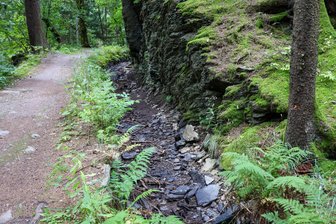 Erzgebirge: Graben stellenweise ausgetrocknet – Was ist schon wieder am Floßgraben los? - Bei Bockau verliert der Floßgraben so viel Wasser, dass er teilweise ausgetrocknet ist.