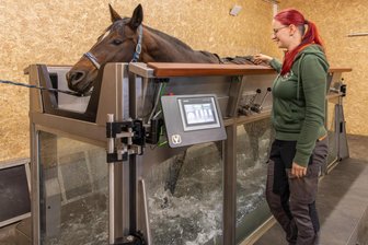 Erzgebirge: In Elterlein joggen jetzt Pferde im Wasser - Im Pferdegesundheitszentrum in Elterlein läuft Stute Luna unter Anleitung von Jenny Kramarczyk im Aquatrainer.