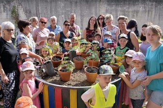 Erzgebirge: Kita-Kinder ziehen kleine Bäumchen für Hoheneck groß - Die gezogenen Vogelbeerbäumchen sind zusammen mit den Kindern der Kita „Sonnenkäfer“ in einer Pflanzschale eingesetzt worden.