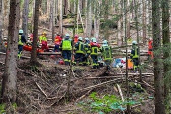 Erzgebirge: Rettungskräfte trainieren Einsatz in unwegsamem Gelände - Eine Rettungsübung hat es am Dienstag im Wald bei Bockau gegeben.