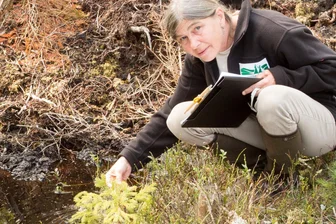 Erzgebirge: Revitalisierung in der Bauernhaide ist abgeschlossen - Anke Haupt an einer der Wasserflächen in der Bauernhaide.