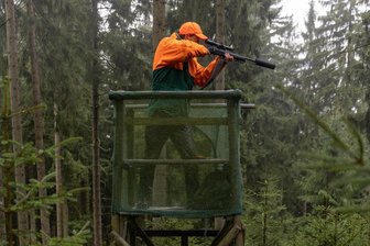 Erzgebirge: Verein startet Petition zur Einschränkung von Drückjagden - Rund 60 größere Drückjagden finden pro Saison im Landeswald statt.
