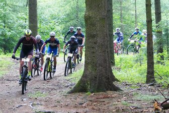 Erzgebirge versetzt Mountainbiker ins Marathon-Fieber - Die Strecke der Miriquidi Bike Challenge führt zum Großteil durch den Gelobtländer Wald.