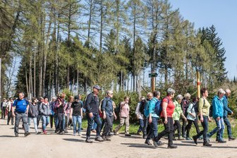 Erzgebirge: Wandersaison auf dem Kammweg startet - Am 1. Mai wird am Kammweg die Wandersaison eröffnet.
