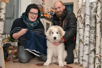 Erzgebirger fertigen Mode für den Hund: Was die Liebe zu einem Mops und Cosplay damit zu tun haben - Anprobetermin in Stollberg: Ladenbetreiberin Desiree Held mit einem extra für Marco Bauers Hund Fjell maßgeschneiderten Bademantel in den Händen.