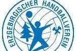 Erzgebirgische Handballverein Aue verliert Test in Leipzig -