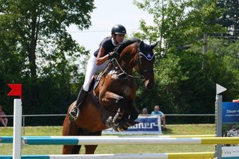 Erzgebirgischer Verein bietet Nachwuchsreitern eine Bühne - In Weißbach sind am Sonntag vor allem junge Reiter zu erleben.